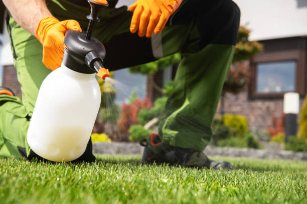 Best Flea Control Services  in Pickens, SC