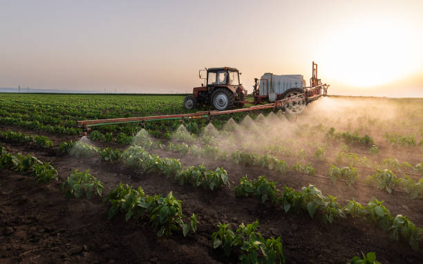 Professional Pest Control in Pickens, SC