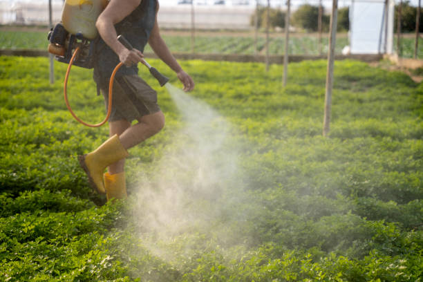 Best Pest Inspection Near Me  in Pickens, SC