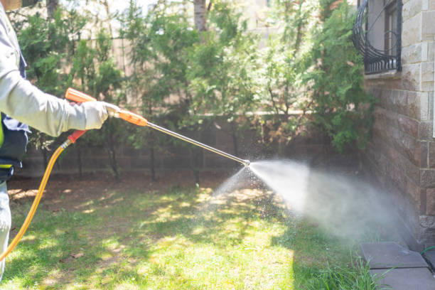 Best Best Pest Control Companies  in Pickens, SC
