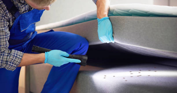 Best Commercial Pest Control Services  in Pickens, SC