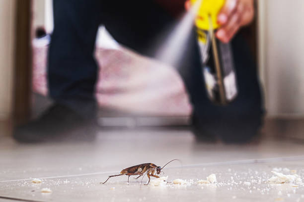 Best Pest Prevention Services  in Pickens, SC
